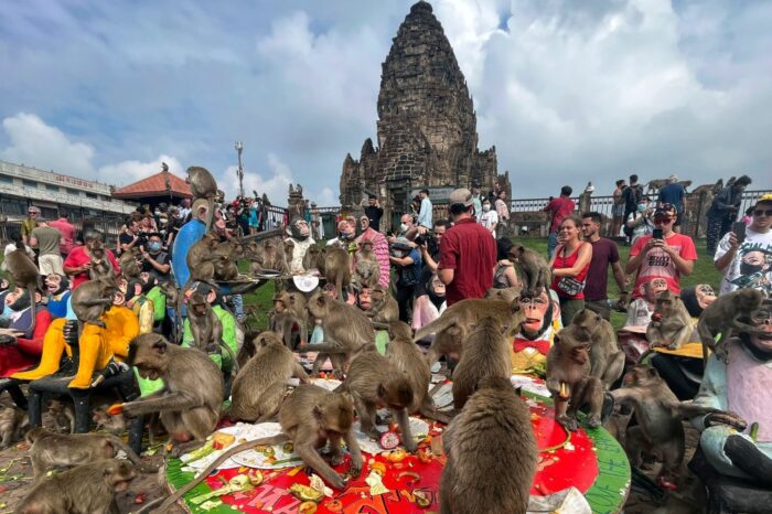 Lopburi, la ciudad copada por monos salvajes