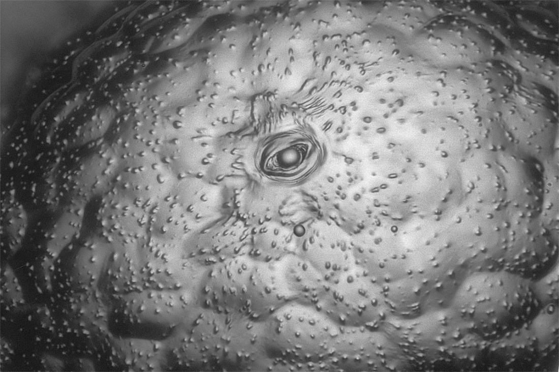 Eye of potato